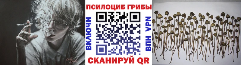 Псилоцибиновые грибы прущие грибы наркошоп Хвалынск